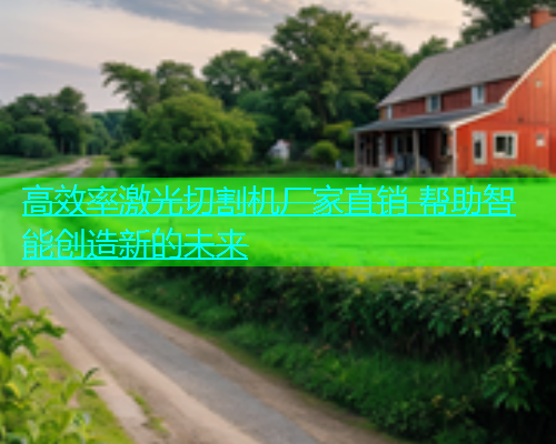 高效率激光切割机厂家直销 帮助智能创造新的未来 高效率激光切割机厂家直销 帮助智能创造新的未来(图1)