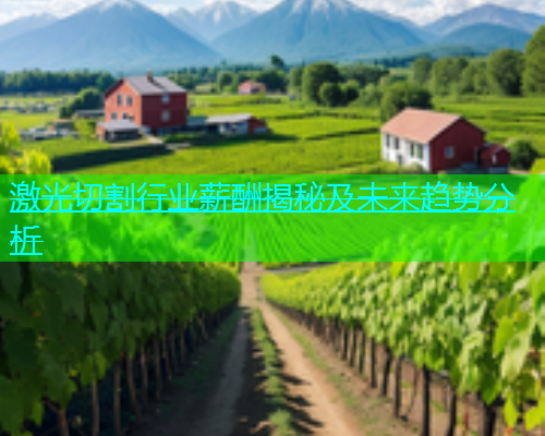 激光切割行业薪酬揭秘及未来趋势分析(图1)